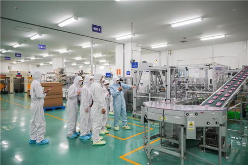 格力高入華三十周年首啟工廠開放日 智能制造與綠色生產共筑健康未來暗流場案例解析——加藥泵的精密化與可持續性挑戰